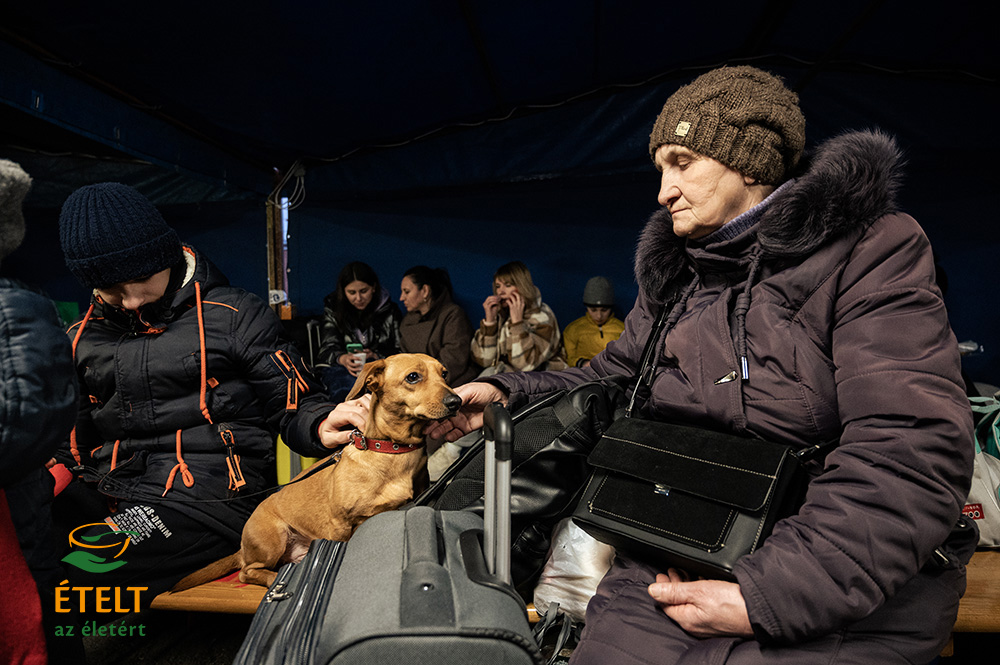Tízezer tál gondoskodás az ukrajnai menekülteknek